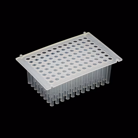 Pettine per punte per materiali di consumo in plastica da laboratorio