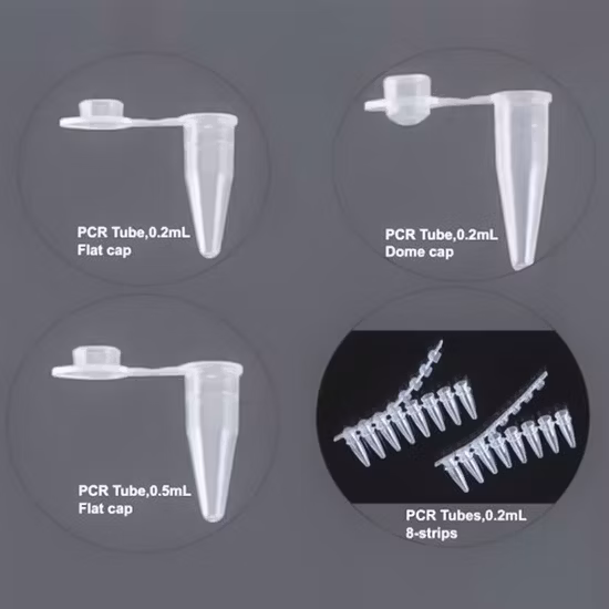 Provetta per PCR per materiali di consumo medici Biobase per laboratorio