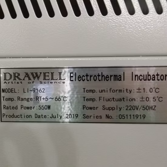 Incubatore per riscaldamento da laboratorio con forno elettrico per l'essiccazione di microrganismi generali